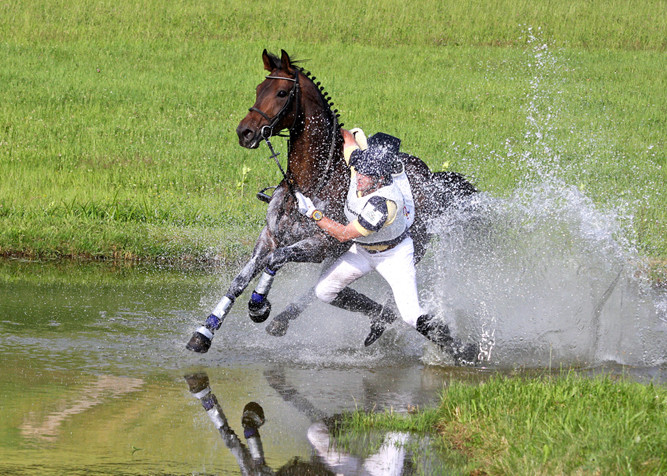 Der Wasserläufer