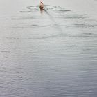 der Wasserläufer - le patineur de l'eau