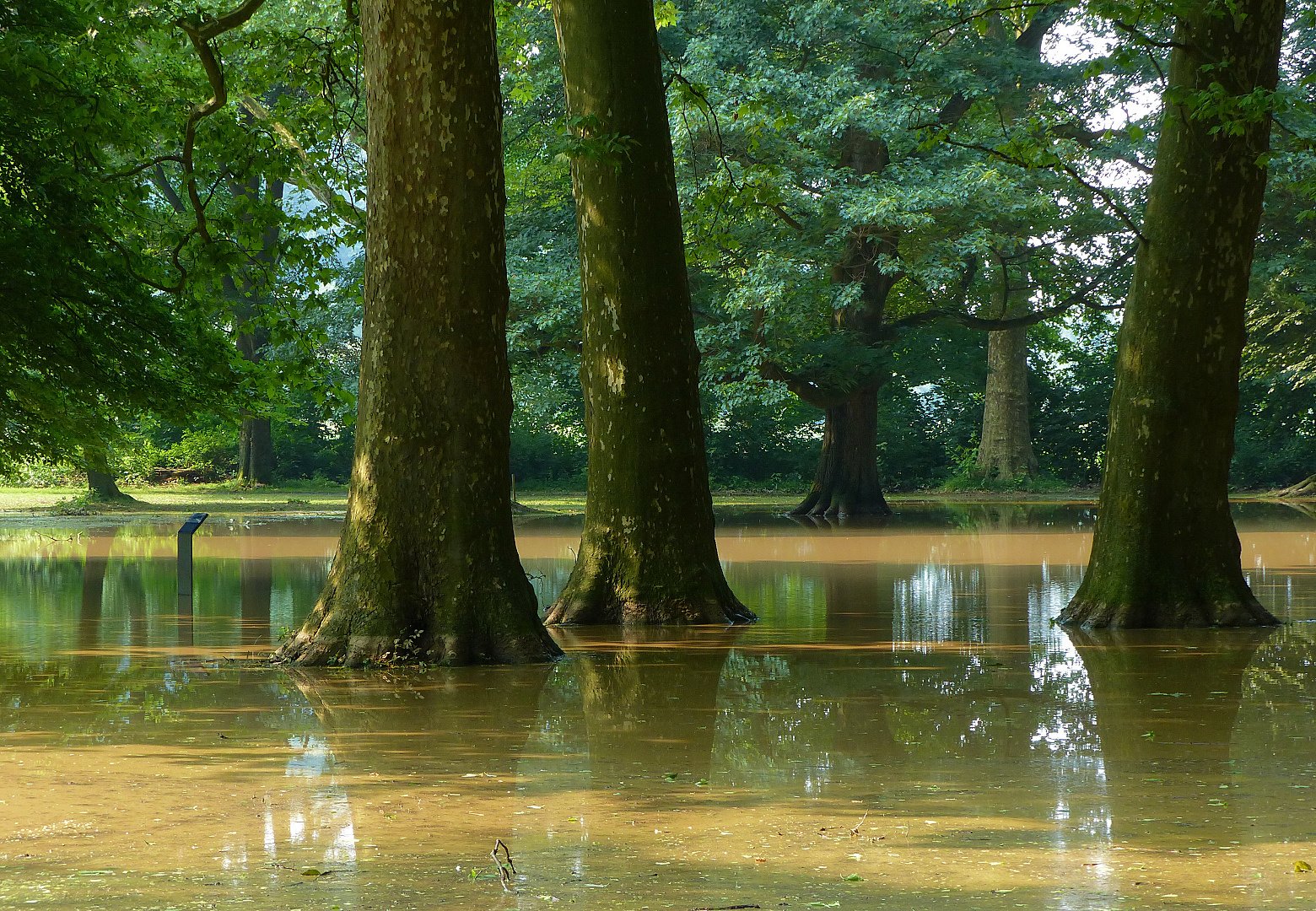 Der Wasserpark 