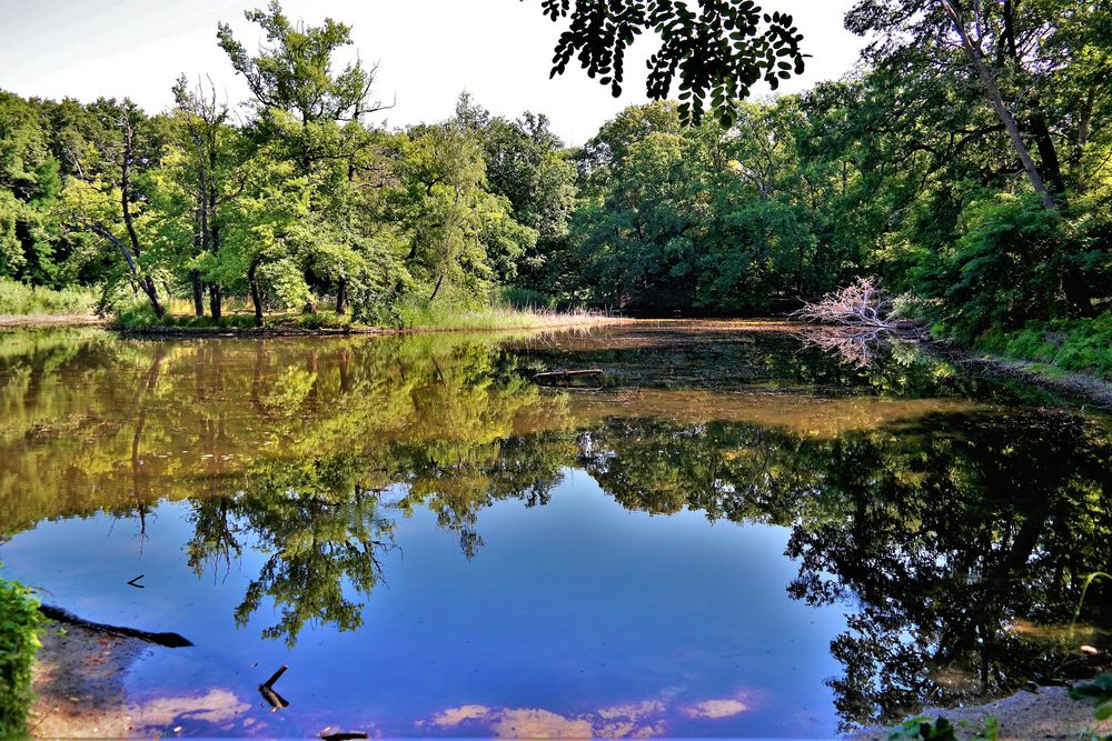 Der Wasserspiegel sinkt Foto & Bild | landschaft, projekte, naturereignisse Bilder auf fotocommunity