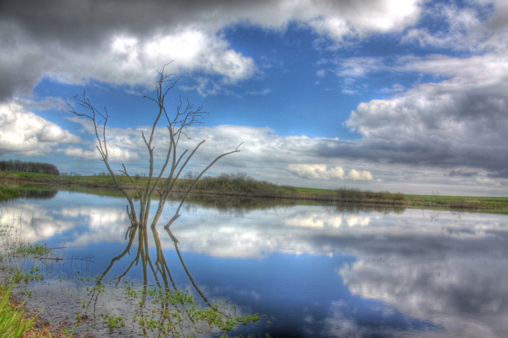 der Wasserspiegel verschwimmt Foto & Bild landschaft, bach, fluss & see, see, teich & tümpel