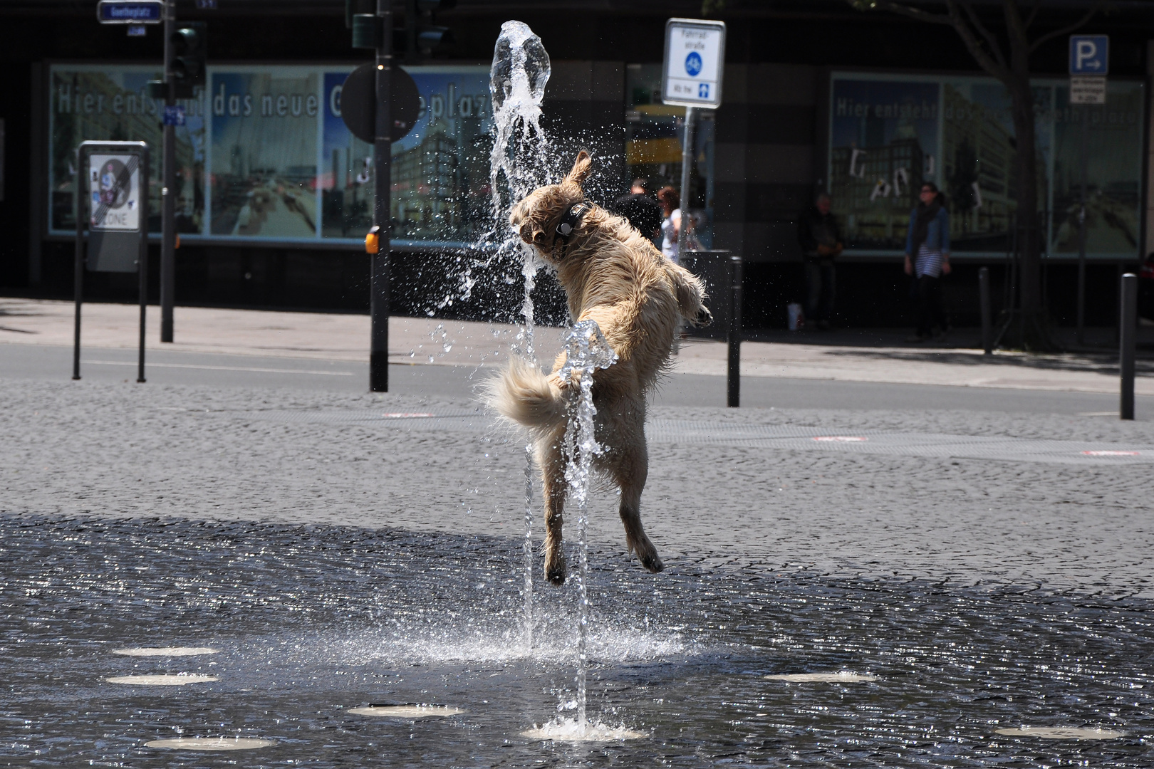 Der Wassersportler