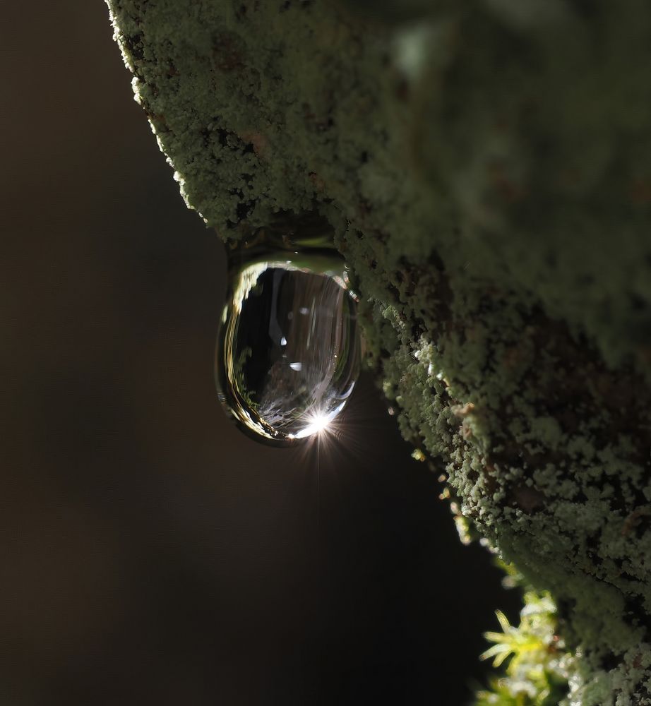 Der Wassertropfen an der Felswand