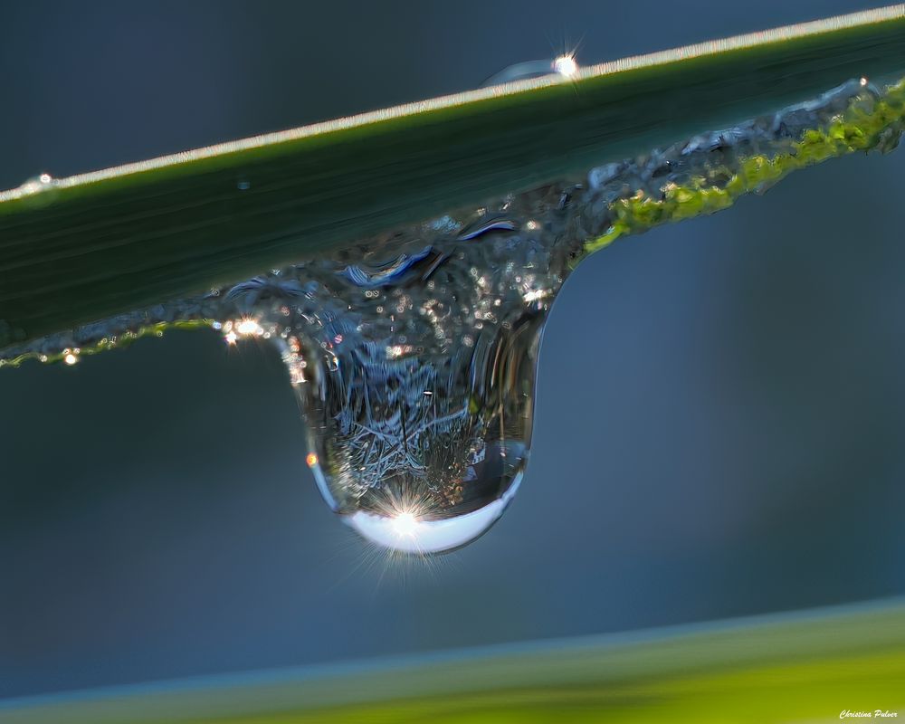 Der Wassertropfen Spiegel