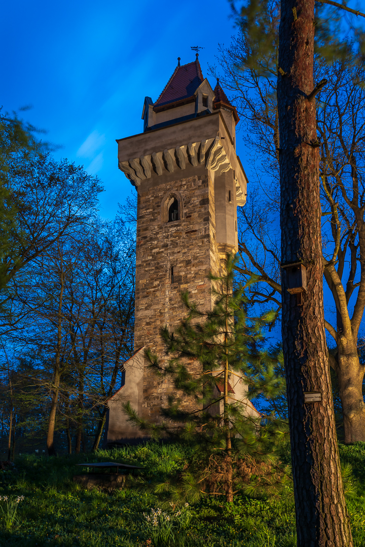 Der Wasserturm im Park von Schloss Peseckendorf (1)
