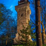 Der Wasserturm im Park von Schloss Peseckendorf (1)