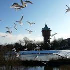 Der Wasserturm in Cuxhaven