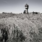 Der Wasserturm und das Kornfeld.