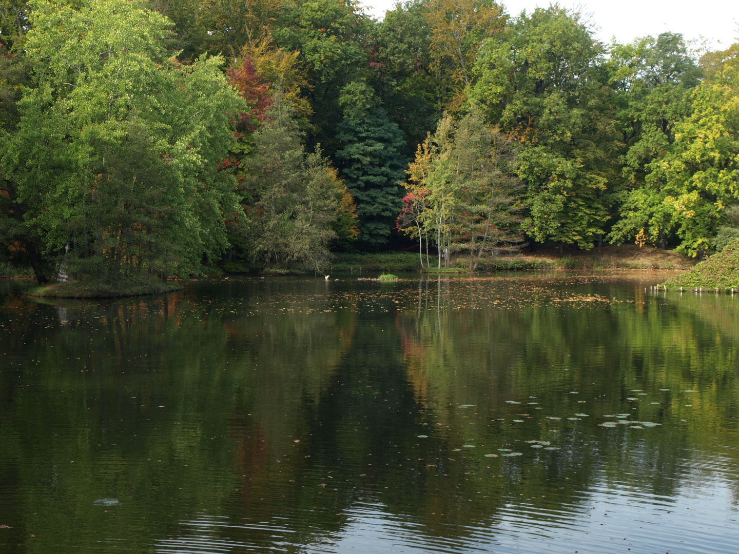 Der Wasserweg