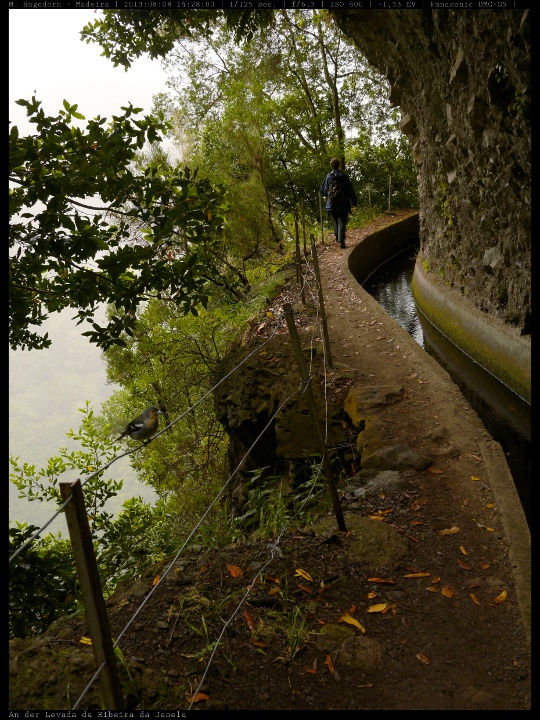 Der Wasserweg in den Wolken