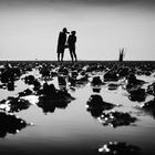 Der Watt-Fotograf...