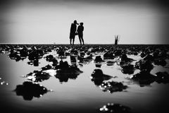 Der Watt-Fotograf...