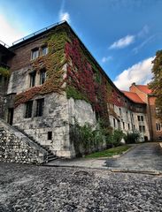 Der Wawel