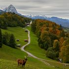 Der Waxenstein im ersten Schnee