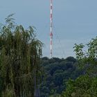 Der WDR Sendeturm auf dem Venusberg oberhalb von Bonn-Kessenich.