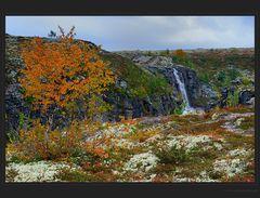 Der Wechsel zum Herbst