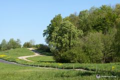 Der Weg, 05.05.16 ZRH