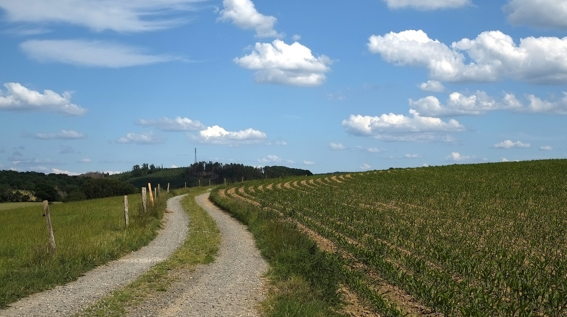 der Weg