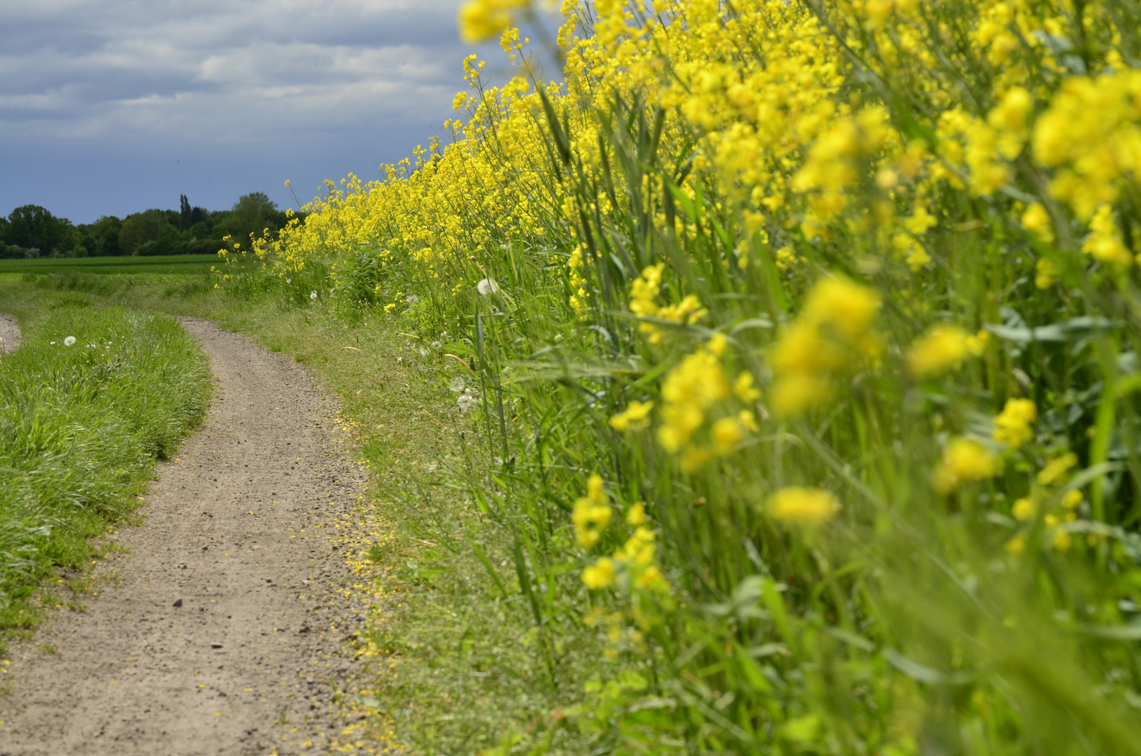 der Weg