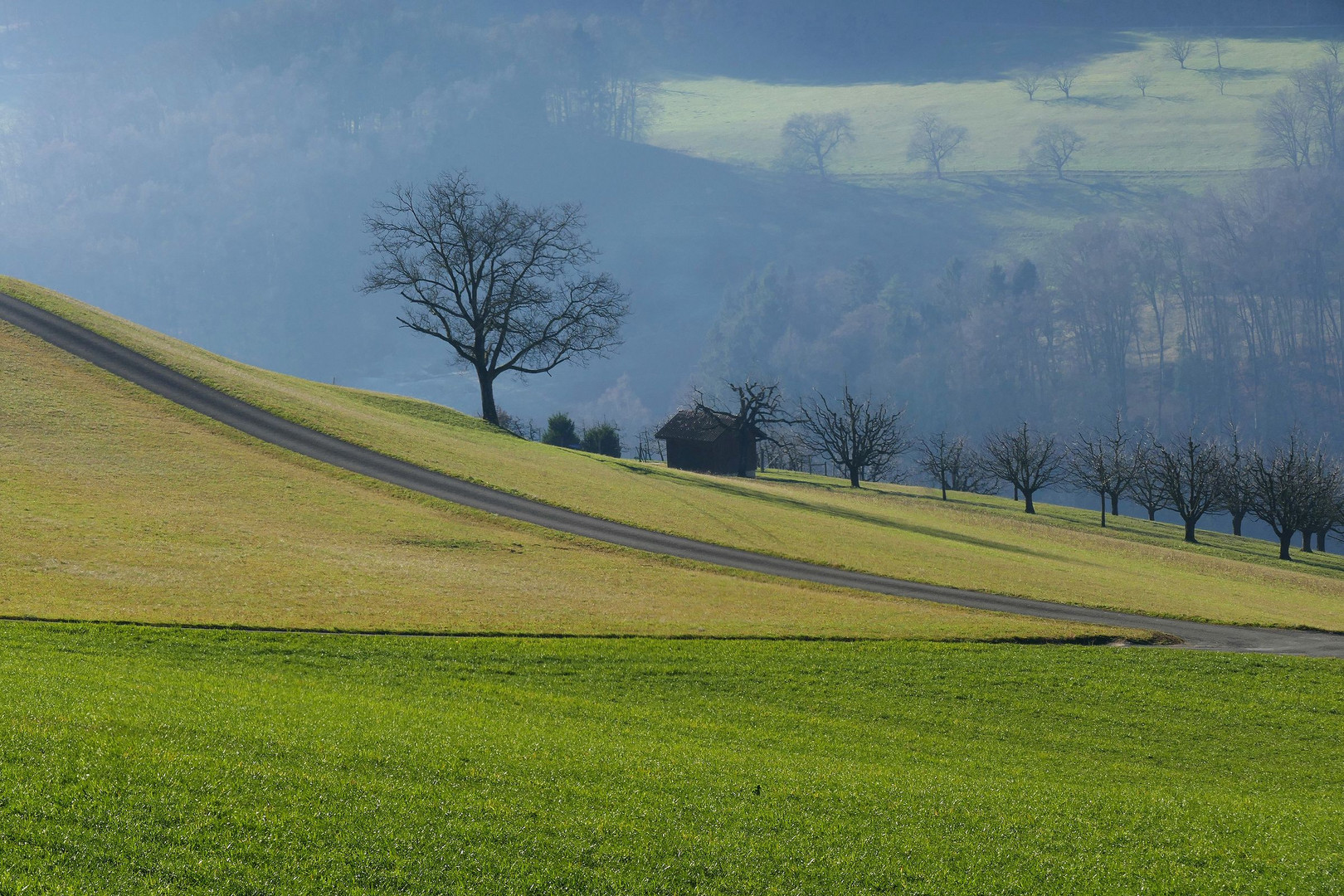 Der Weg...