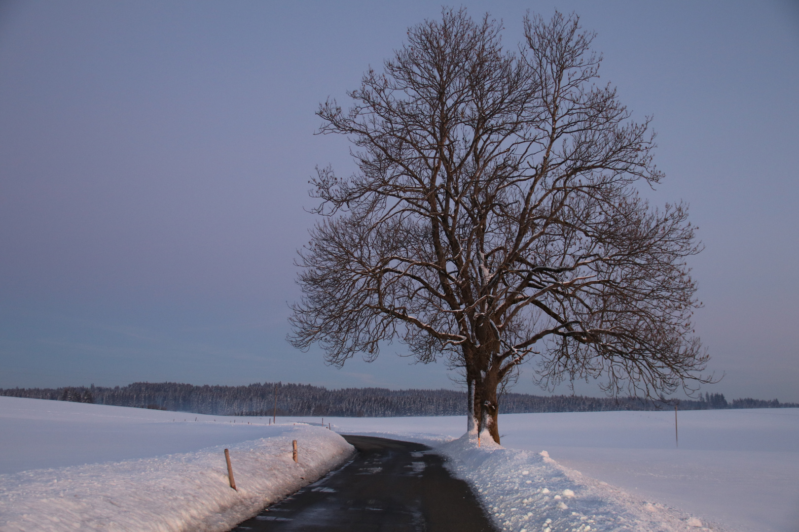 Der Weg