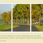 der WEG