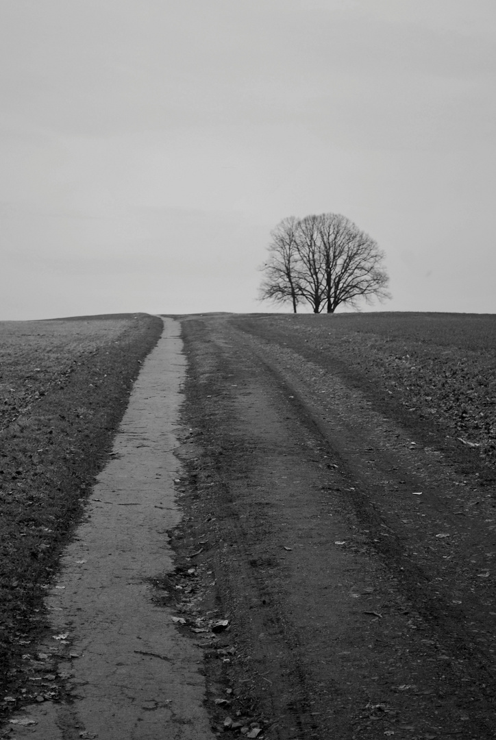 Der Weg