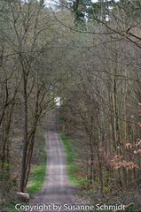 der Weg (2)