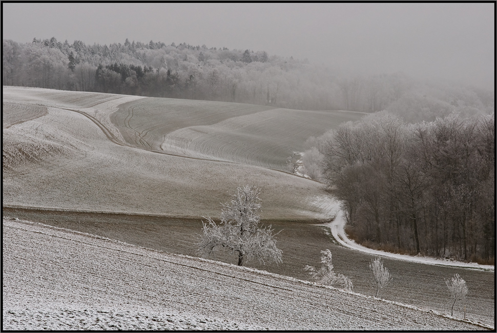 Der Weg