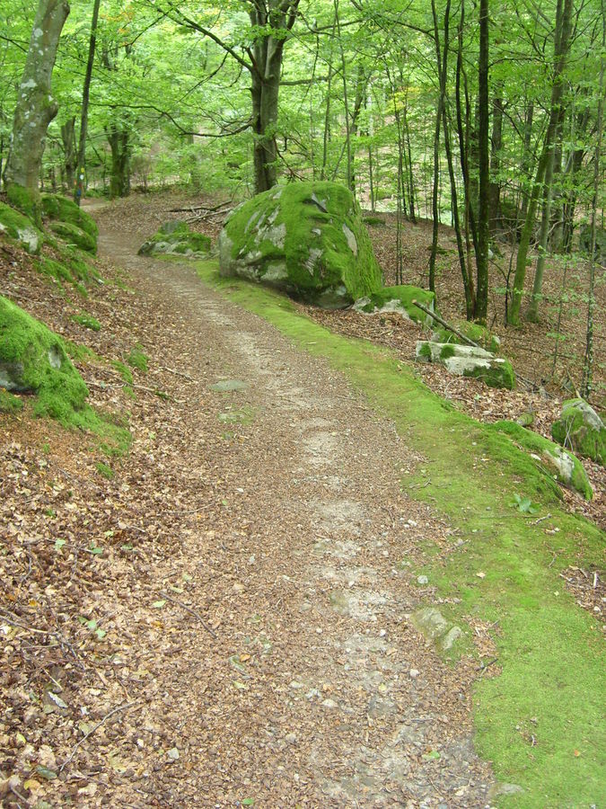 Der Weg