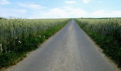 Der Weg