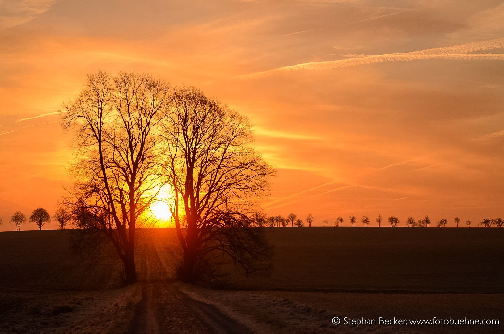 Der Weg