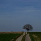 Der Weg