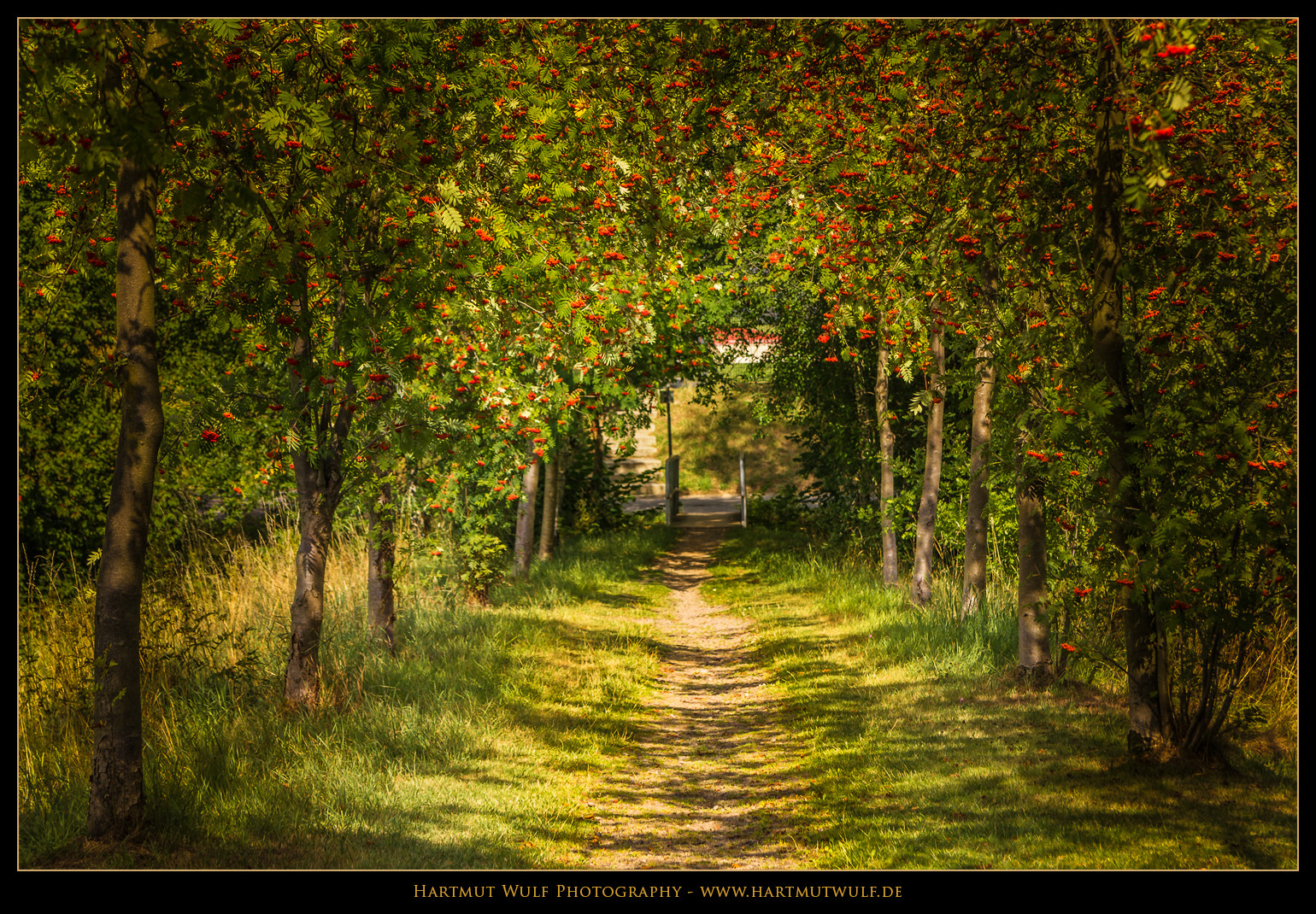 Der Weg