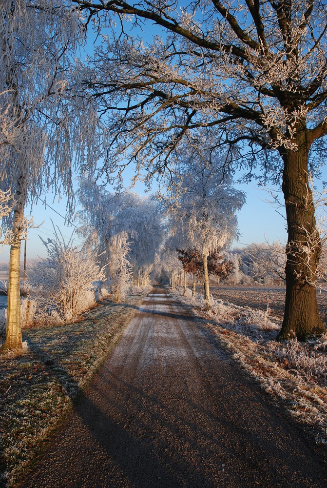 Der Weg