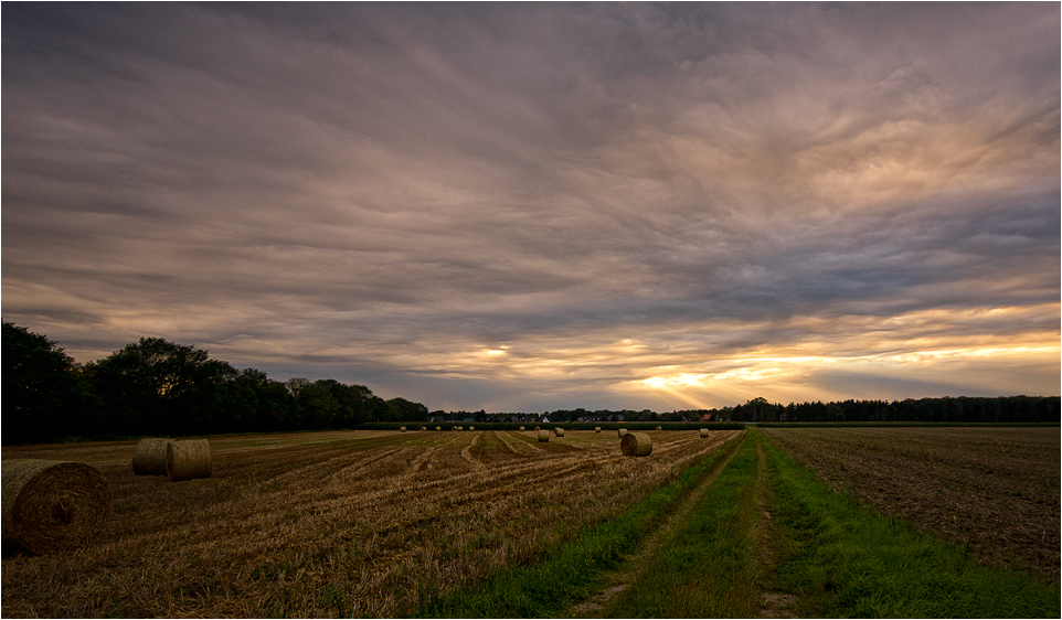 Der Weg