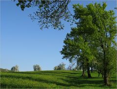 der Weg 5