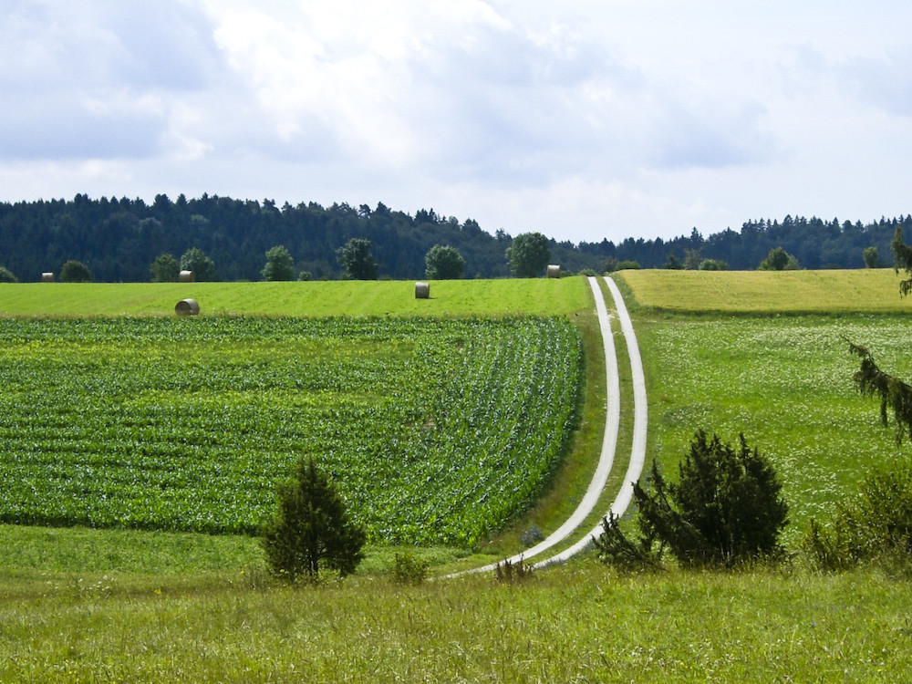 Der Weg von ju94 