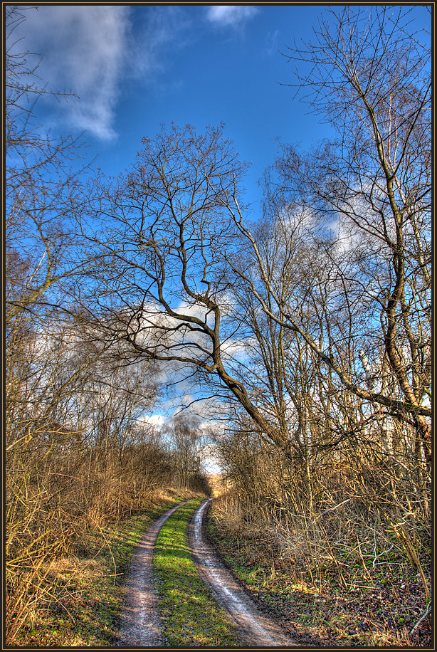 ... Der Weg ...