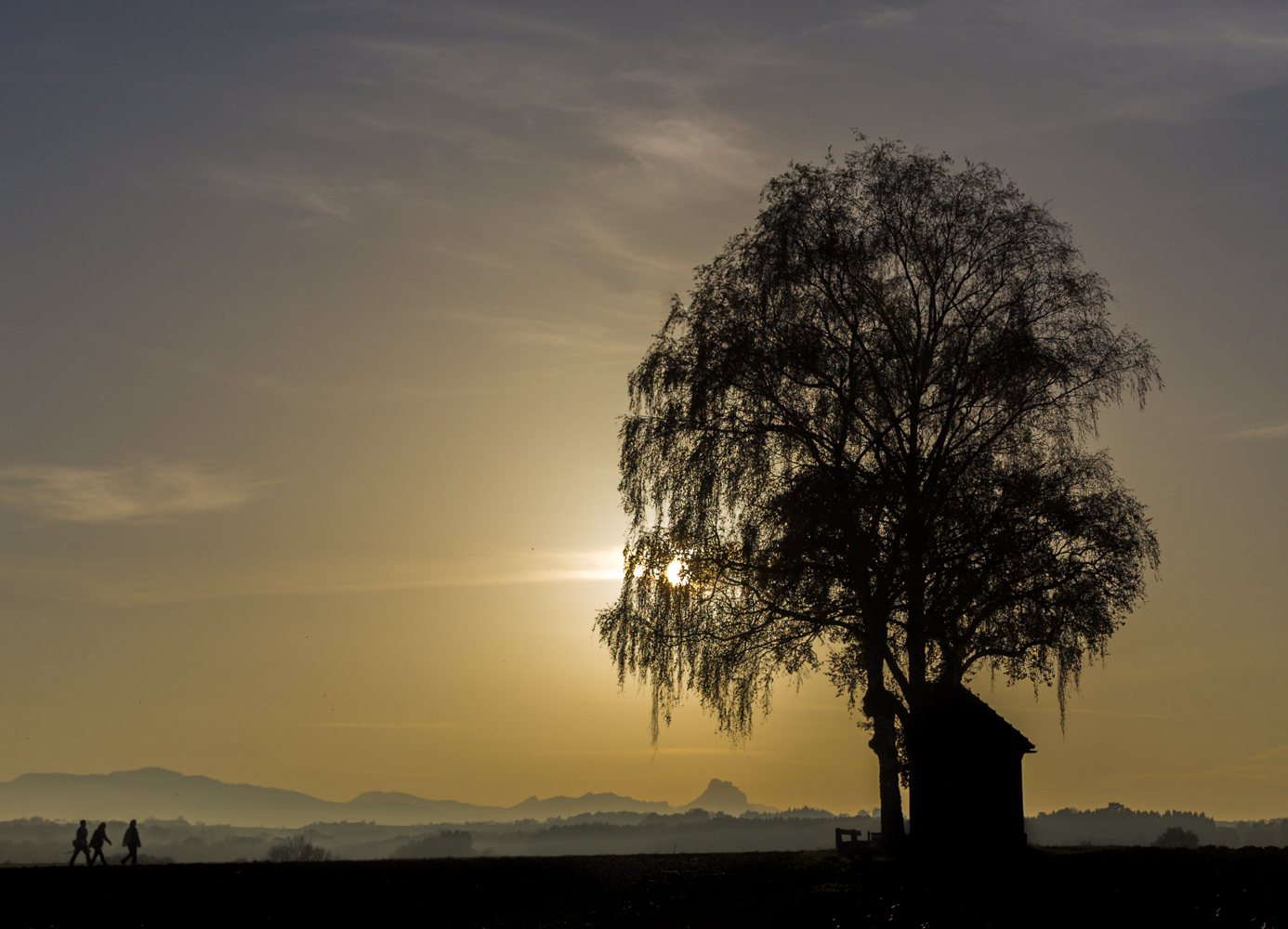 Der Weg...