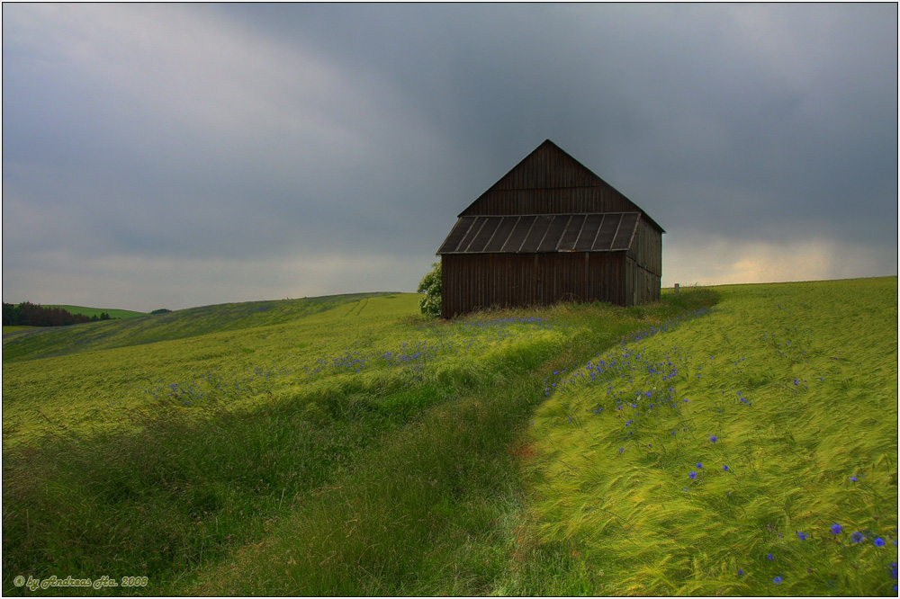 Der Weg...