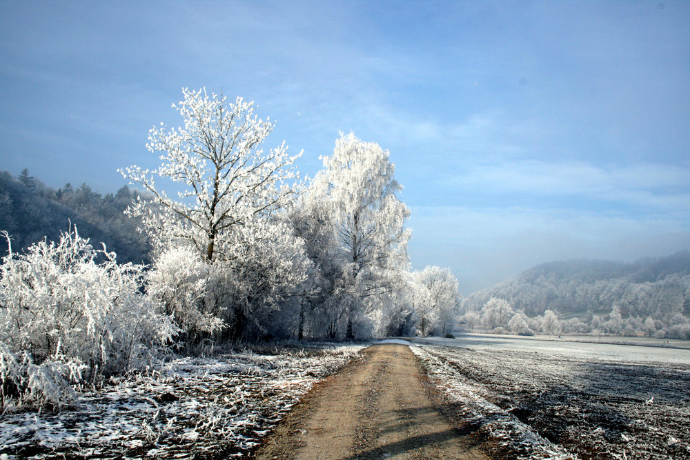 Der Weg....