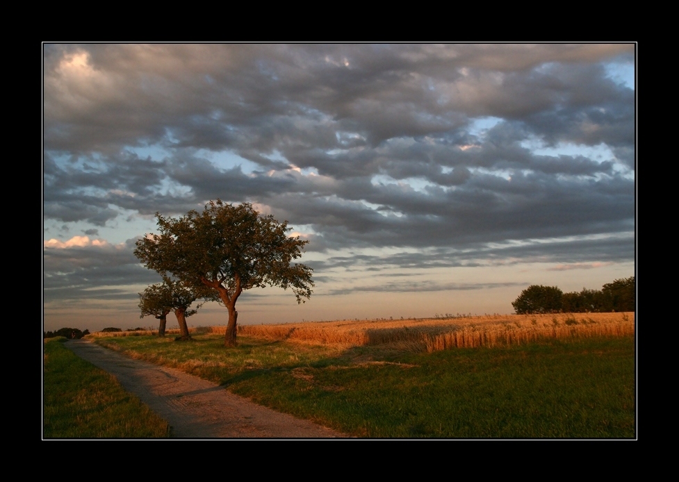 Der Weg