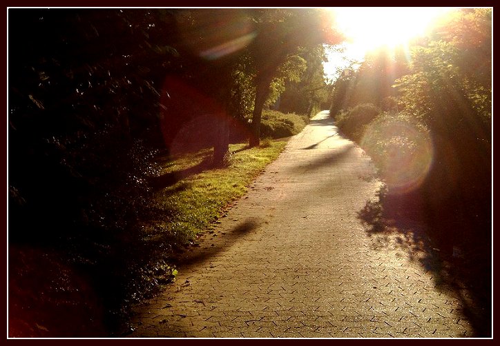 Der Weg...