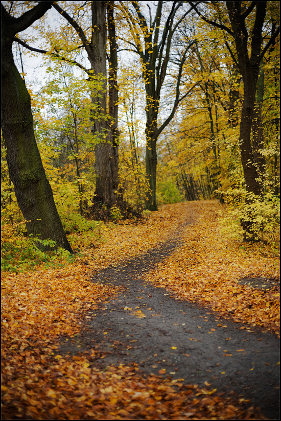 [ Der Weg ]