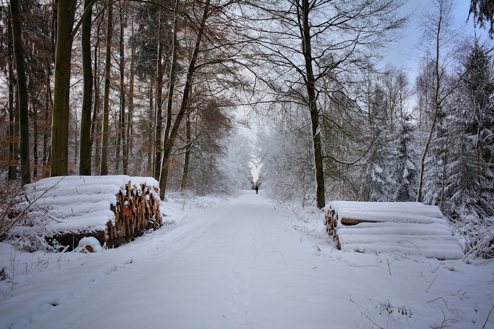 der Weg...