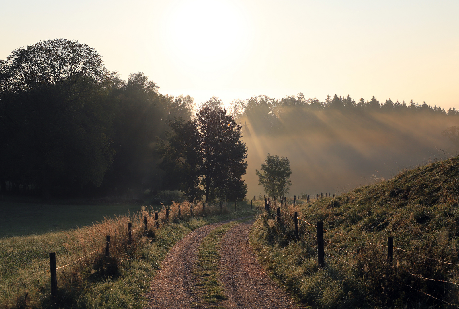 Der Weg