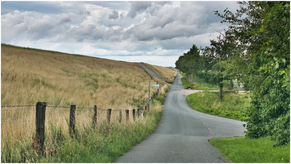 der Weg am Deich