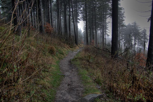 Der Weg am Feldberg