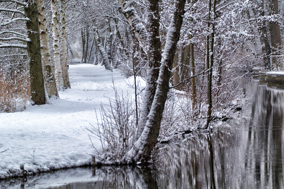 Der Weg am Fluss